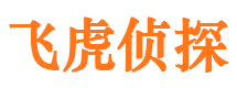 平阴市侦探调查公司